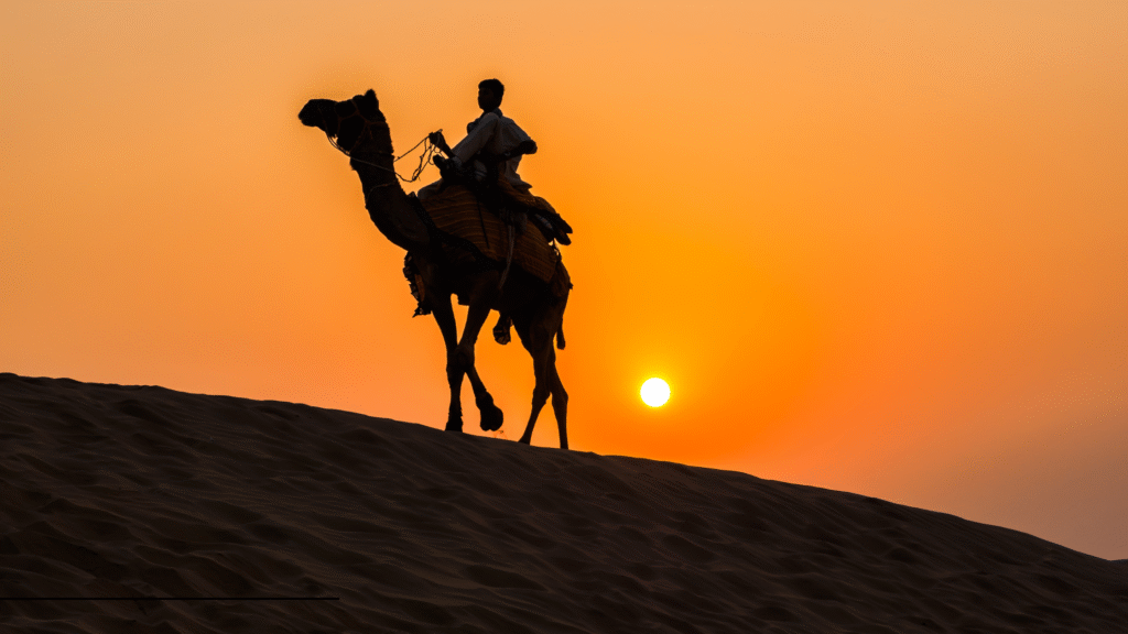 Camel safari at sunset in Rajasthan Thar desert with golden sand dunes and orange sky