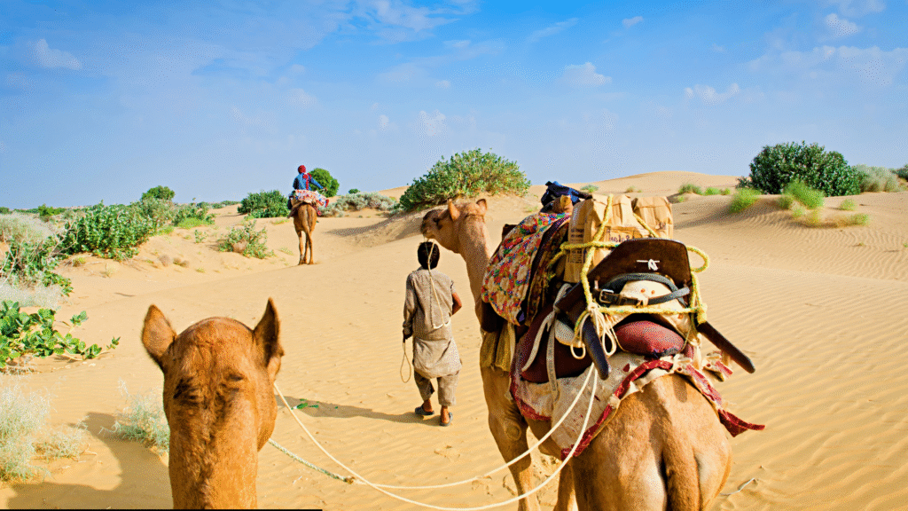 Tourist photographer capturing golden hour desert landscape during Rajasthan safari tour