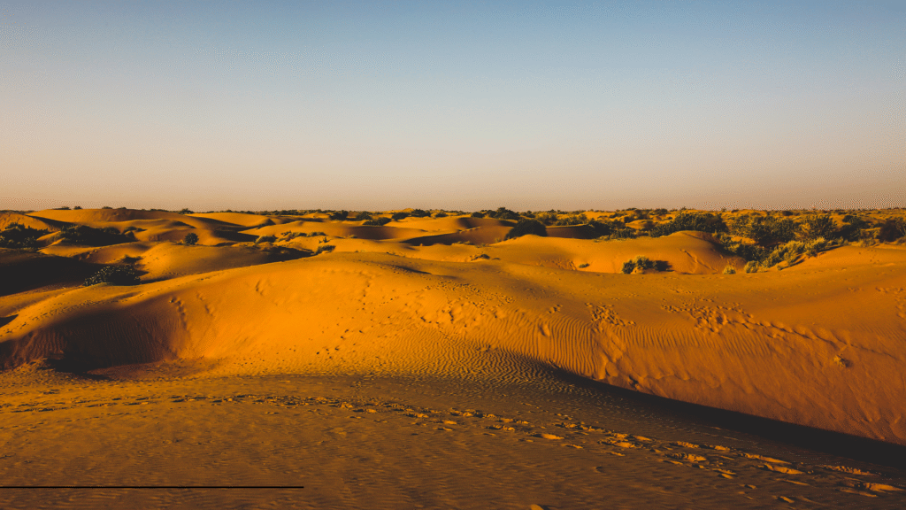 Spectacular sunrise over Thar desert sand dunes creating golden light perfect for safari photography