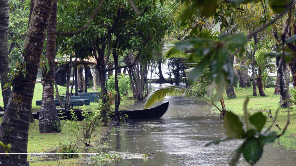 Kerala Monsoon Tourism