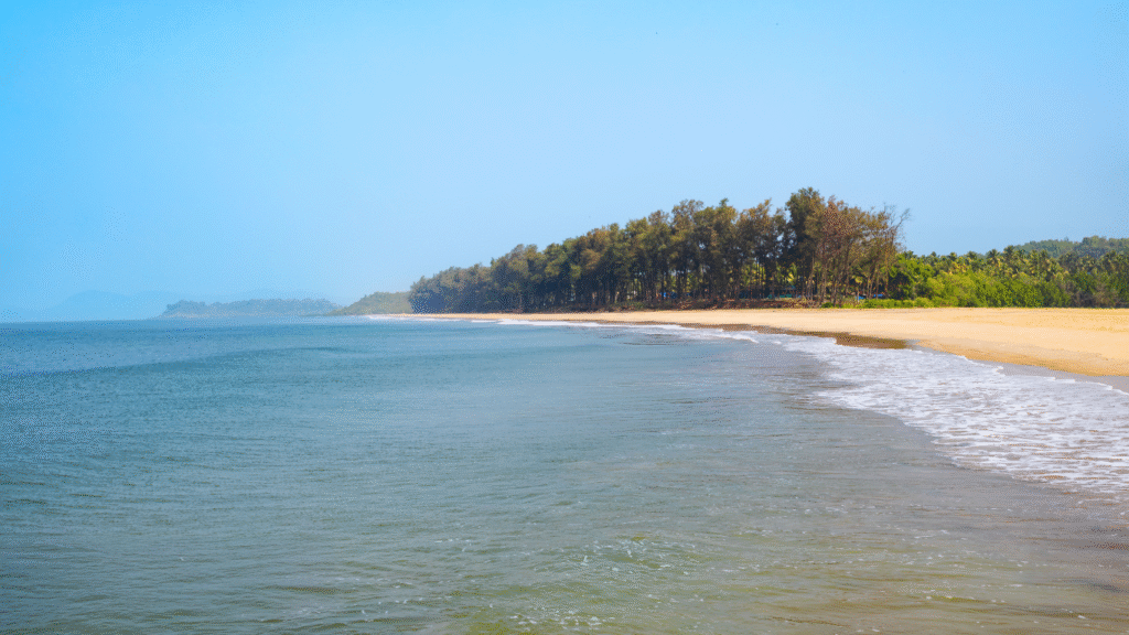 Galgibaga Beach with an Olive Ridley turtle nesting site and a pristine, undeveloped shoreline.