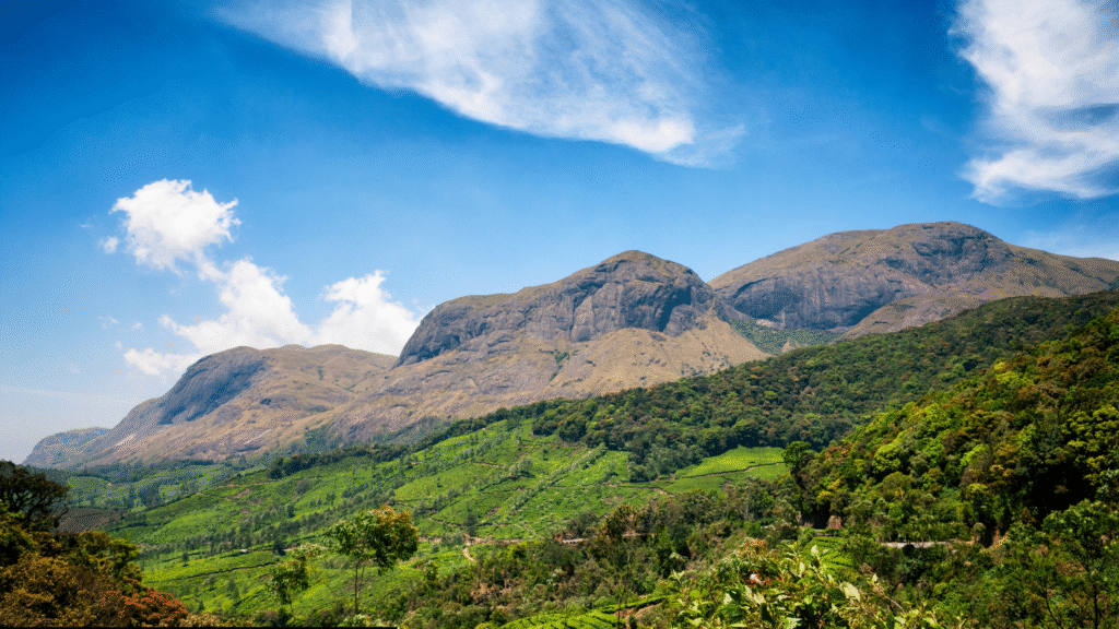 View of Anamudi Peak, the highest mountain in South India, rising above clouds and tea gardens in Munnar Kerala